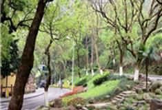 温州景山公园介绍及游玩景点推荐