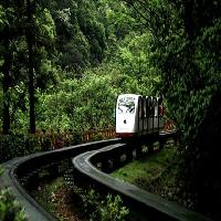 上海共青国家森林公园17724