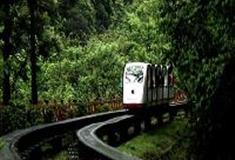 上海共青国家森林公园：小火车西园站