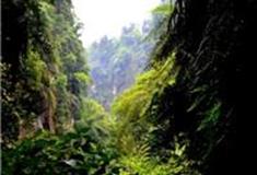 福州桫椤峡谷怎么玩？附游玩路线