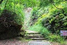 大雁山风景区：雀花鸣翠