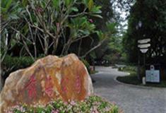 深圳前海公园怎么玩？附游玩路线