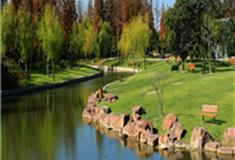 上海滨江森林公园怎么玩？附游玩路线