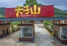 清远天子山怎么玩？附游玩路线