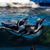 江苏张家港梦幻海洋王国19679