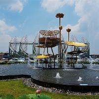 三水荷花世界15997