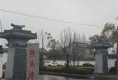 上海崇明无为寺怎么玩？附游玩路线