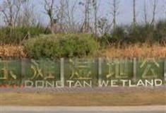 上海东滩湿地公园怎么玩？附游玩路线