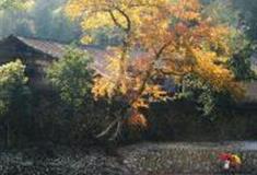 温州浙南晚清居民博物馆怎么玩？附游玩路线