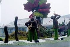 上海世纪公园：观景平台