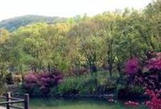 绍兴会稽山百鸟乐园怎么玩？附游玩路线