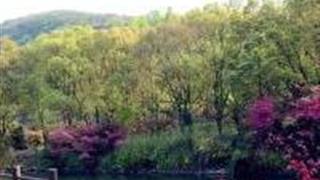 绍兴会稽山百鸟乐园怎么玩？附游玩路线