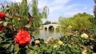 烟台山东中华月季园怎么玩？附游玩路线