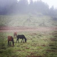 上海共青国家森林公园17714