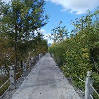 拉市海湿地公园十二生肖轮回大道