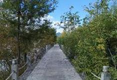 拉市海湿地公园：十二生肖轮回大道