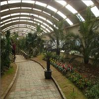 上海共青国家森林公园17726