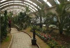 上海共青国家森林公园：花艺展示馆