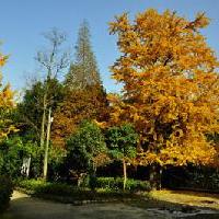 中泰天心佛文化旅游区19782