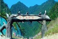 丽水箬寮原始林怎么玩？附游玩路线