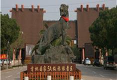 上海野生动物园怎么玩？附游玩路线