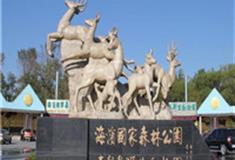 秦皇岛野生动物园怎么玩？附游玩路线