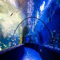 江苏张家港梦幻海洋王国19676
