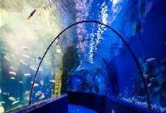 江苏张家港梦幻海洋王国：海底秘密花园