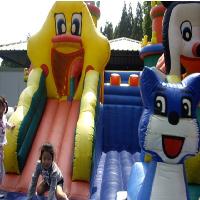 上海共青国家森林公园儿童乐园