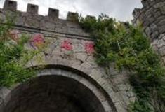 舟山双合景区怎么玩？附游玩路线