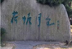 苏州荷塘月色湿地公园怎么玩？附游玩路线