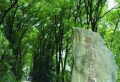 重庆歌乐山国家森林公园怎么玩？附游玩路线