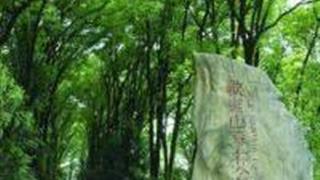 重庆歌乐山国家森林公园怎么玩？附游玩路线