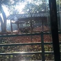 长沙生态动物园19192