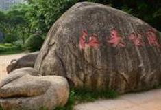 厦门江头公园怎么玩？附游玩路线