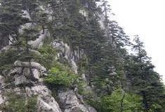 白马尖：大别山植物与地质景观