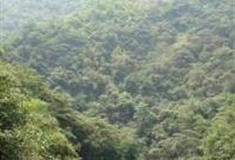 清远千谷溪森林公园怎么玩？附游玩路线