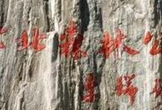 天津津北森林公园怎么玩？附游玩路线