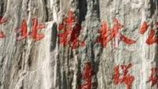 天津津北森林公园怎么玩？附游玩路线