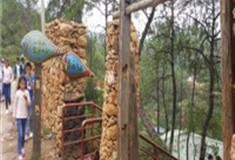 丽江三股水风景区怎么玩？附游玩路线