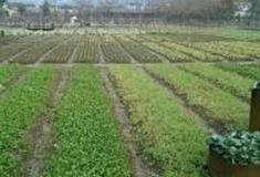 苏州瑞颐农场怎么玩？附游玩路线