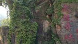 九江武陵奇峡风景区怎么玩？附游玩路线