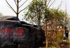 上海青西郊野公园怎么玩？附游玩路线