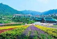 深圳茶溪谷怎么玩？附游玩路线