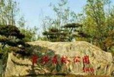 天津市官港森林公园怎么玩？附游玩路线