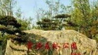 天津市官港森林公园怎么玩？附游玩路线