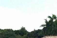 广州天河儿童公园怎么玩？附游玩路线