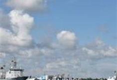 湛江红嘴鸥港湾游怎么玩？附游玩路线