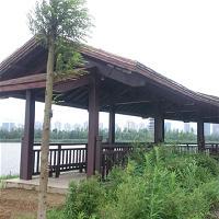 长沙洋湖湿地公园18307