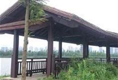 长沙洋湖湿地公园：观鸟长廊